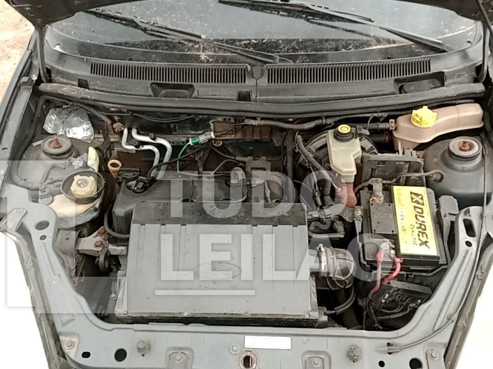 Foto 12