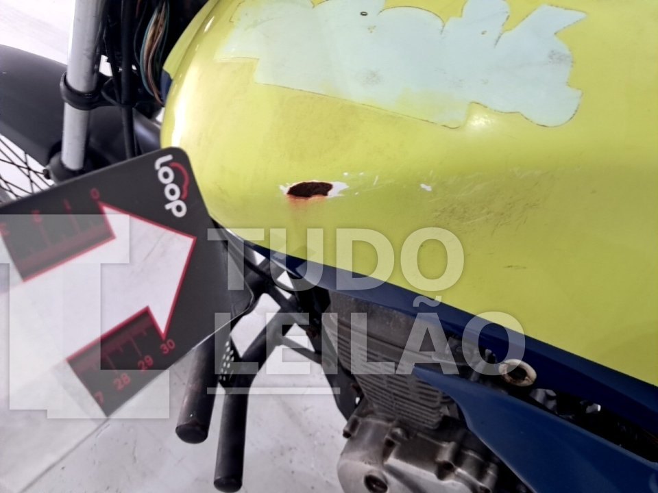 Foto 19