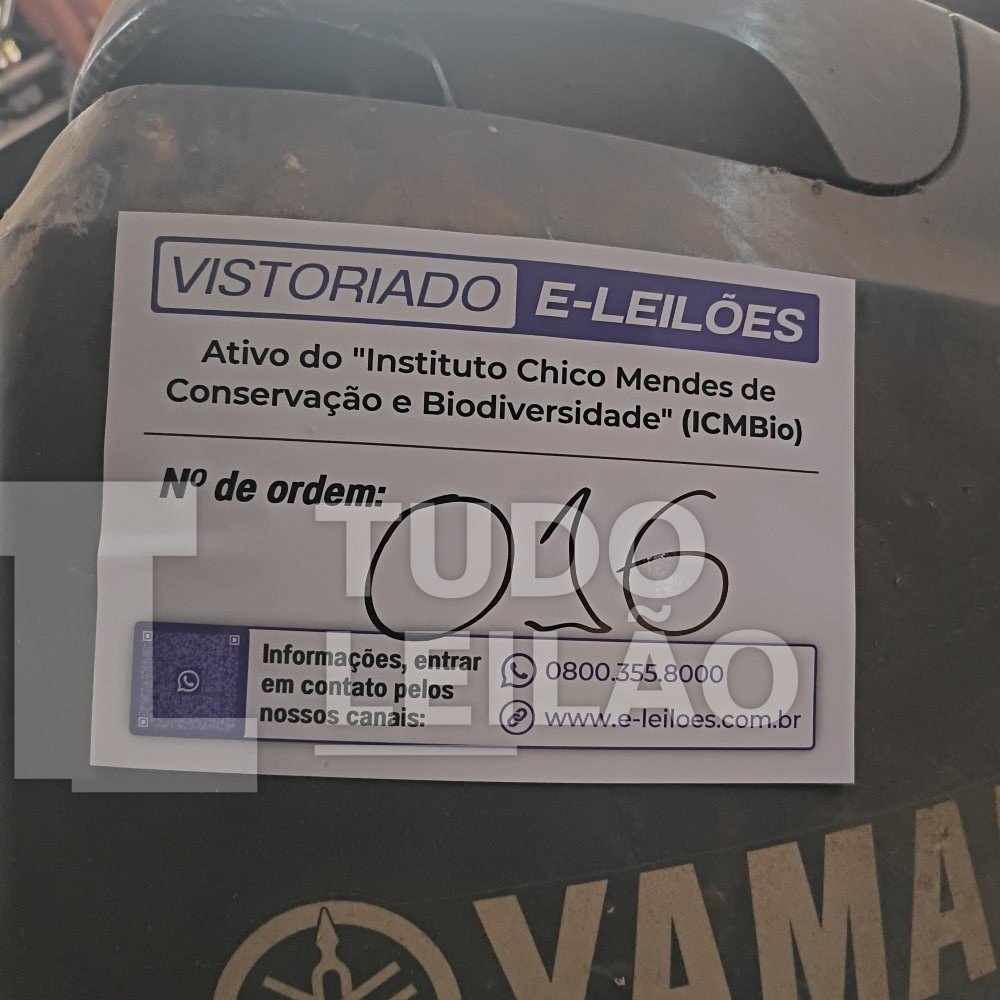 Foto 15