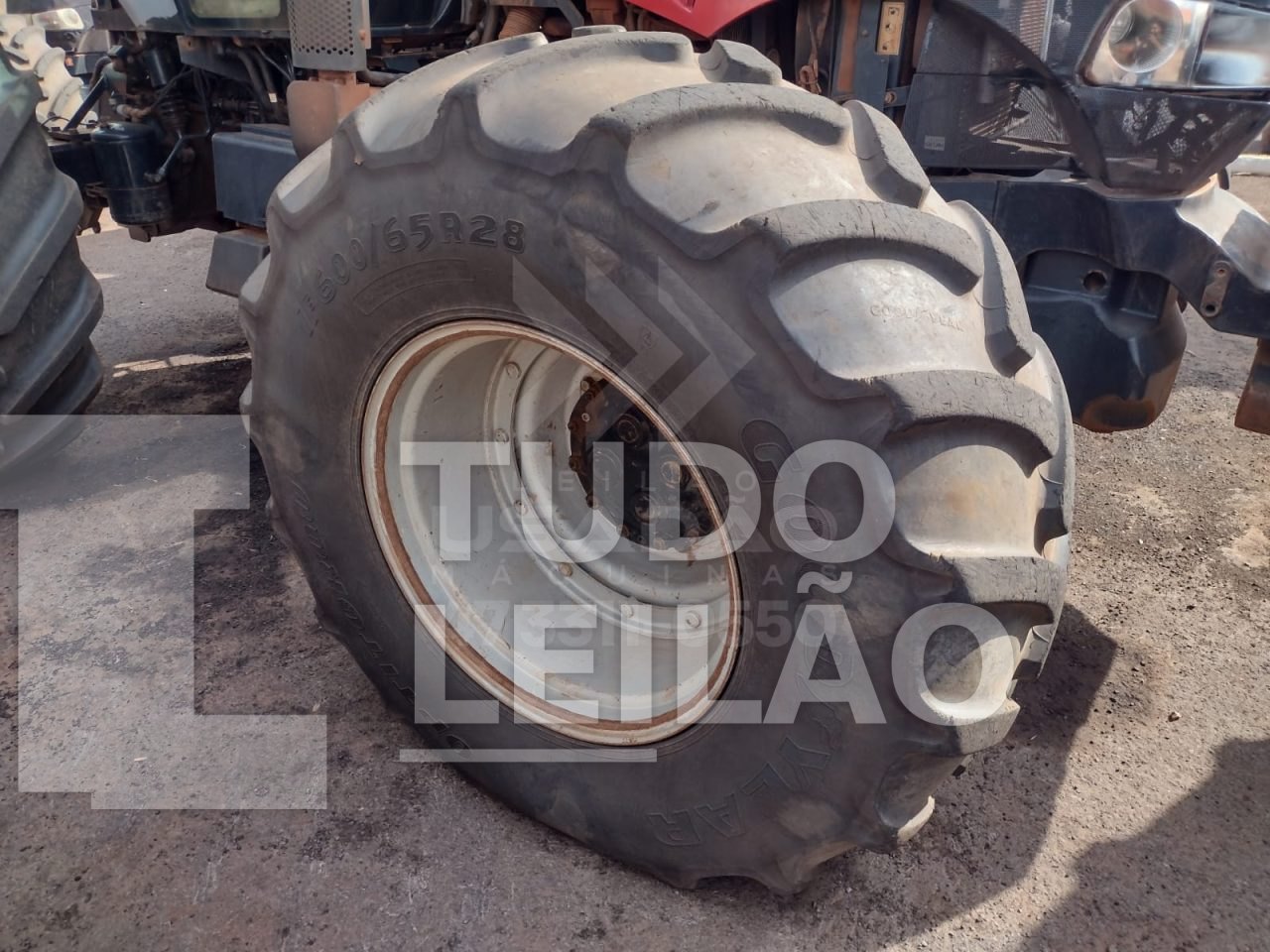 Foto 4